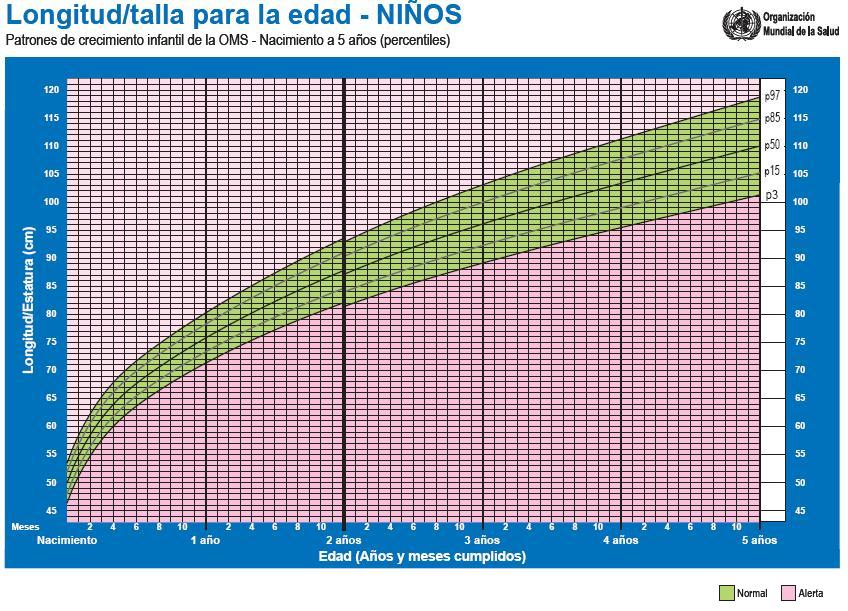 talla para niños de a 5 años | Cuidado Infantil