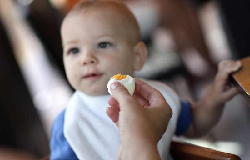 Cómo saber si el bebé es intolerante al huevo